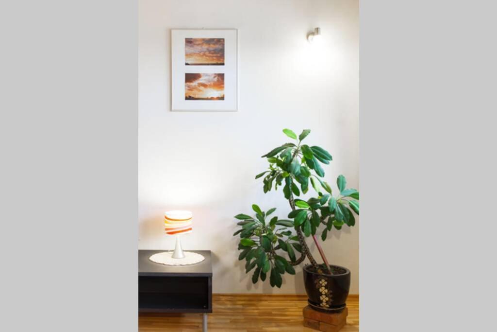 וילנה Penthouse Apartment With Great Panoramic City View מראה חיצוני תמונה