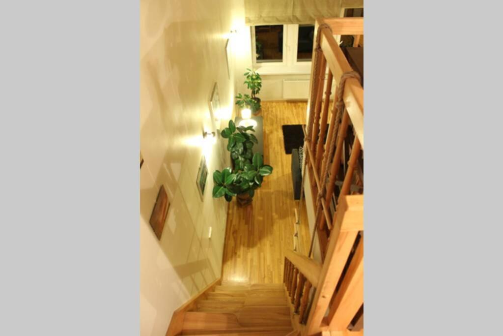 וילנה Penthouse Apartment With Great Panoramic City View מראה חיצוני תמונה